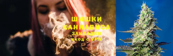 стаф Инсар