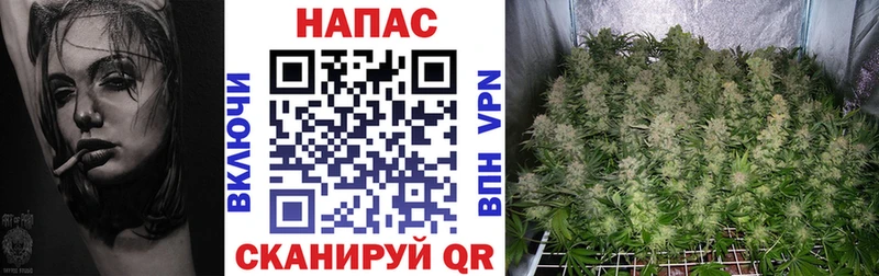 blacksprut онион Северо-Курильск МАРИХУАНА план
